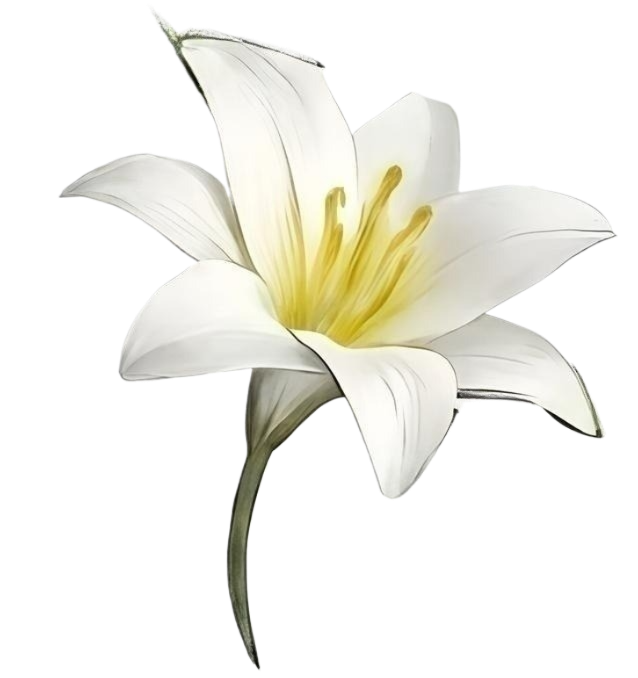 Nailtech logo_convert enh fg blflower